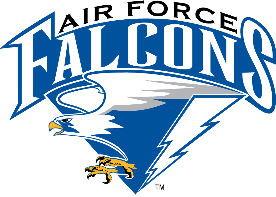 Air Force Falcons 1995-2003 Primary Logo DIY iron on transfer (heat transfer)